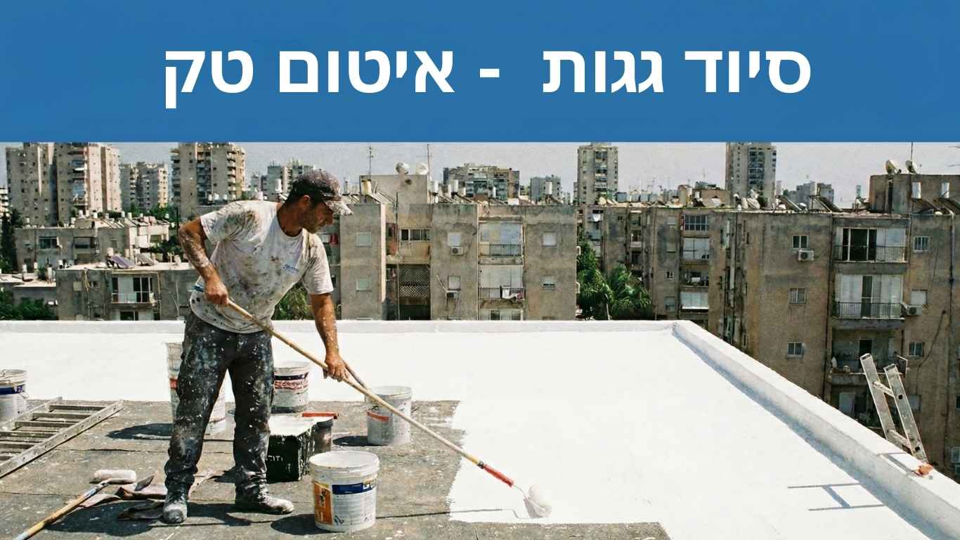 סיוד גגות